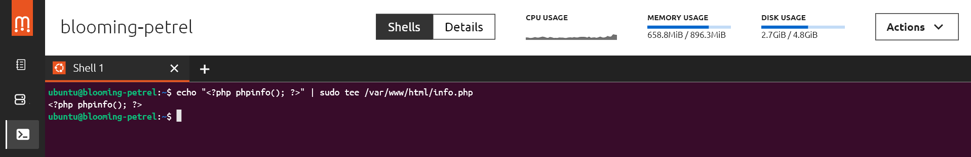 Echo PHP