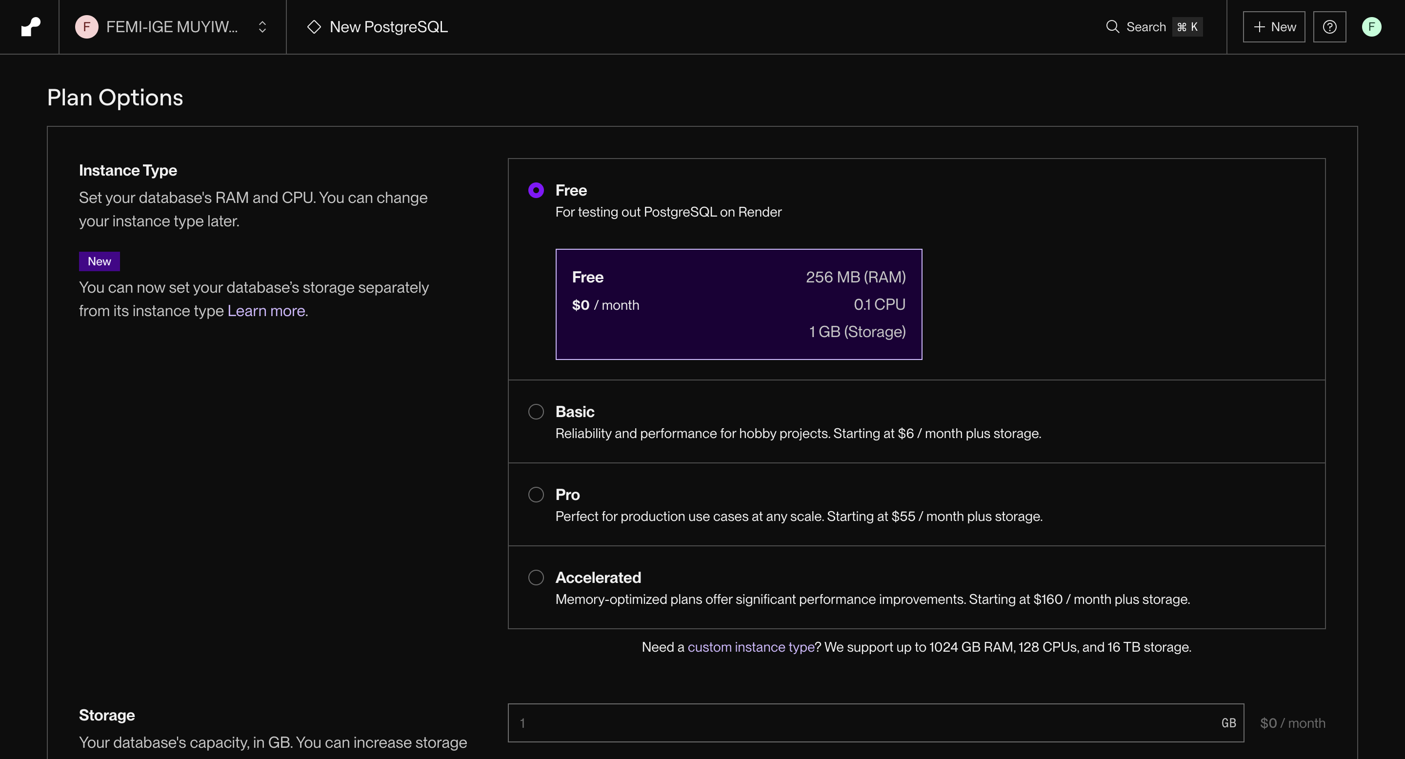 pricing options