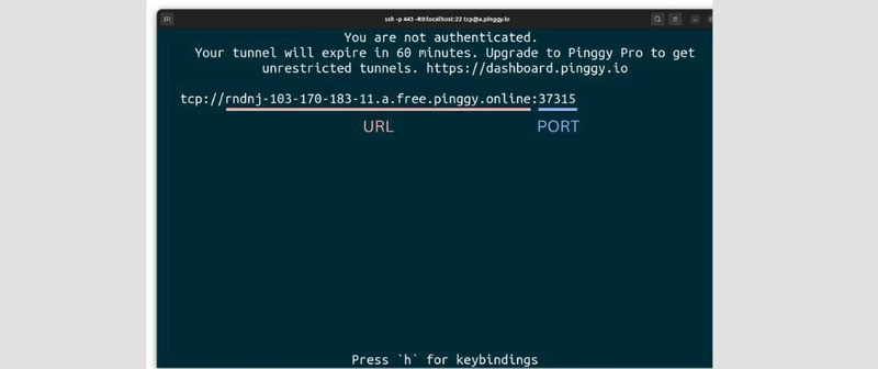 Local Tunnels: The Simplest Way to Expose Your Local Services Securely