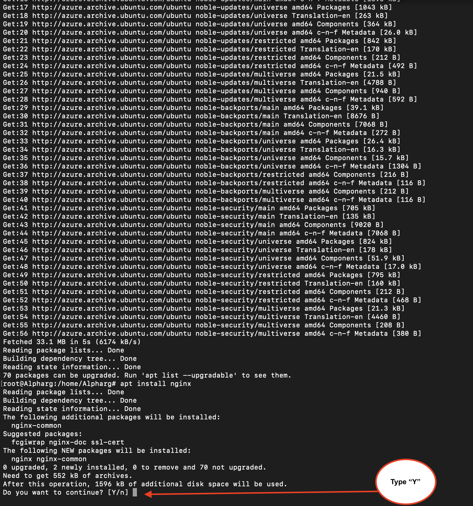 nginx