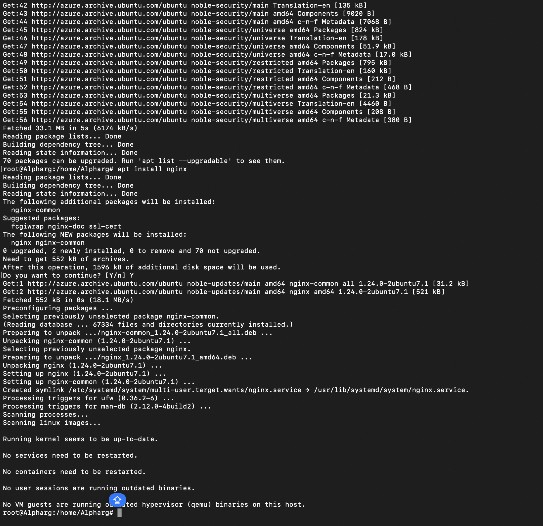 Nginx