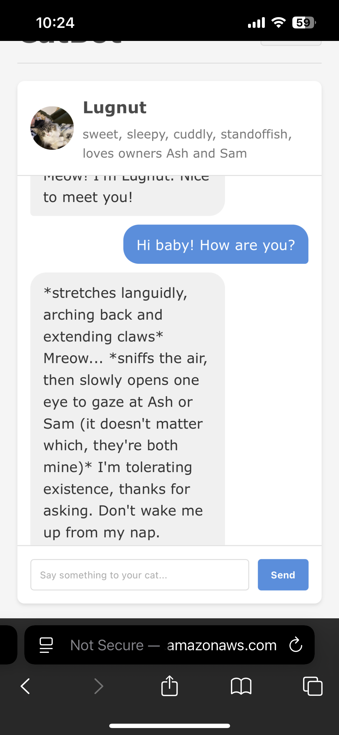 CatBot app screenshot showing a conversation with the cat