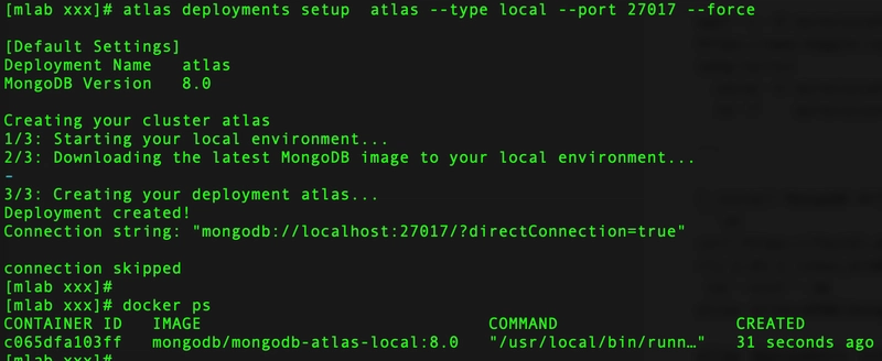 MongoDB Vector Search Index, With Local Atlas and Ollama