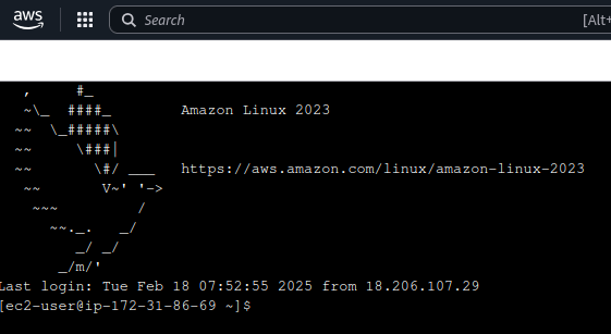 Screenshot of the terminal screen after making the connection