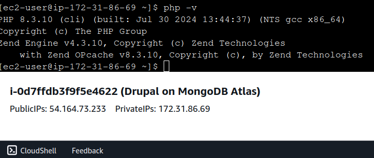 Terminal screen representing the installation of PHP