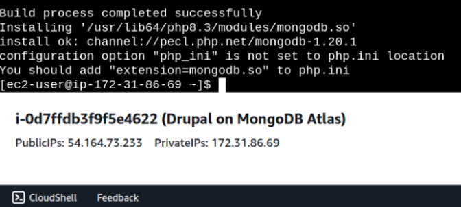 Terminal screen representing the installation of MongoDB