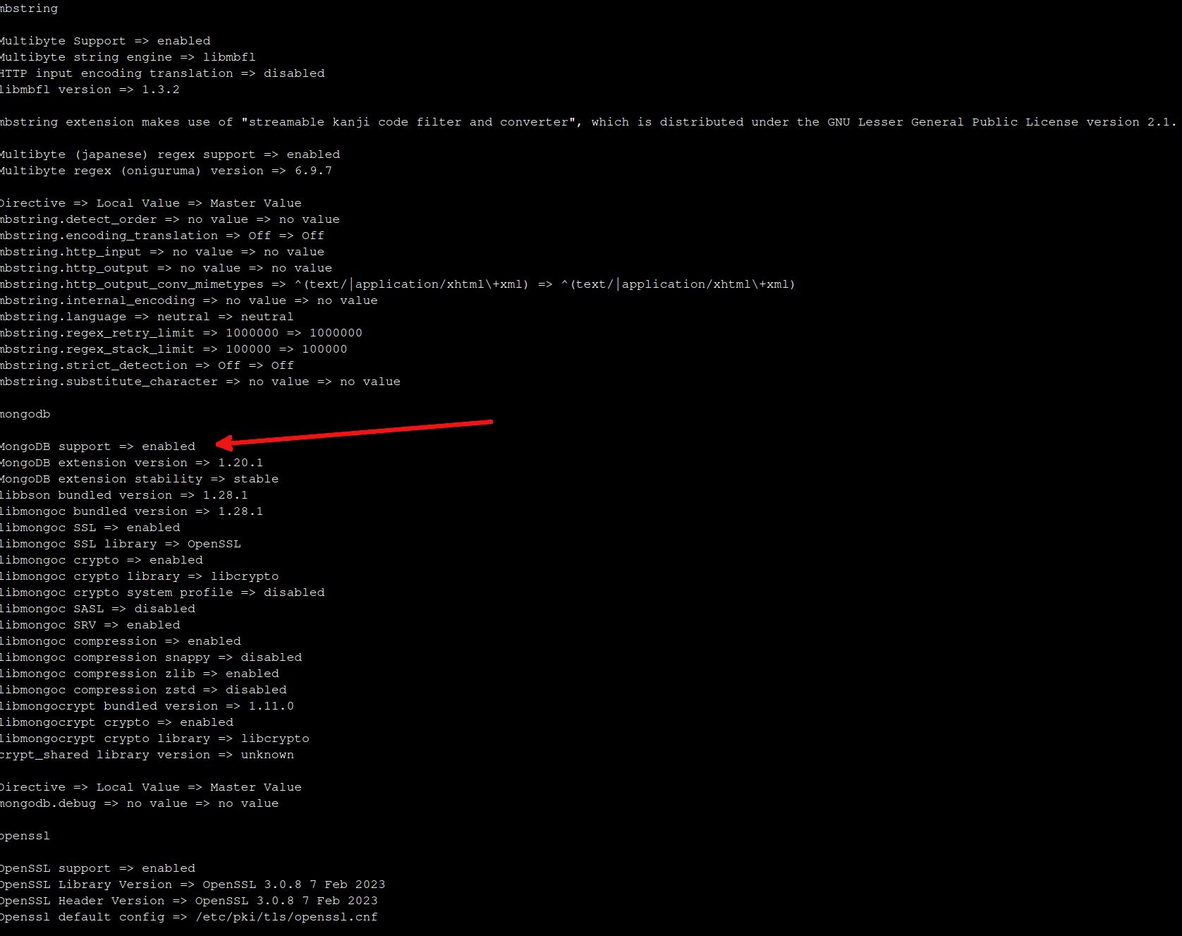 Terminal screen representing the installation of MongoDB