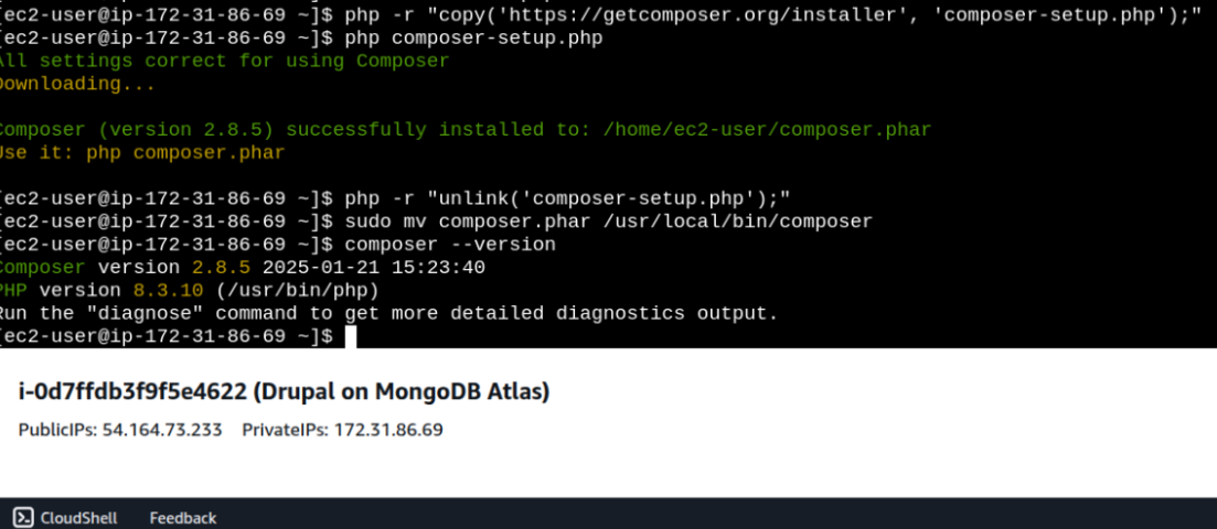 Terminal screen representing the installation of MongoDB