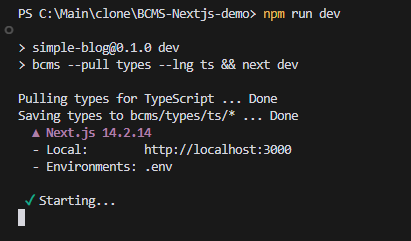 npm run dev