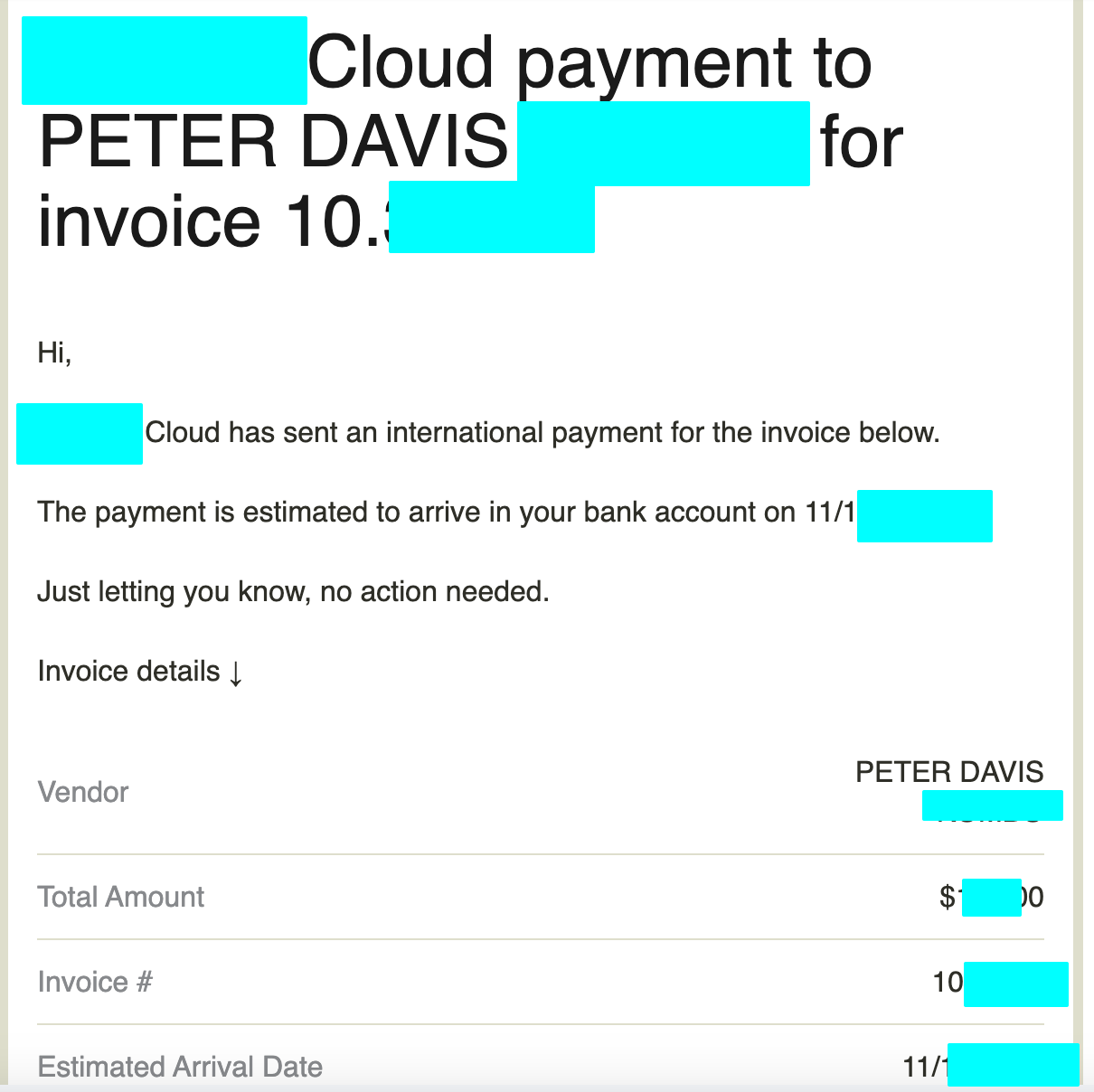 Invoice for the bounty