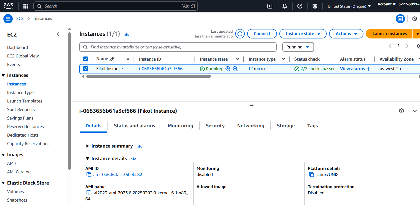 Successful EC2 Instance Launched