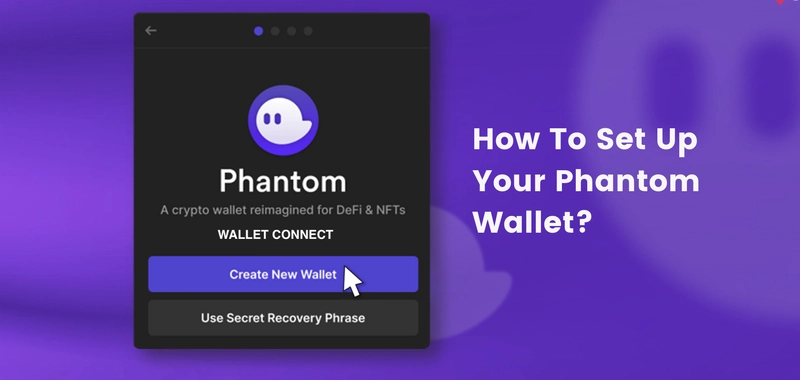 Smart Function to Connect a Wallet and Sign Transactions on EVM or SOL Via Phantom
