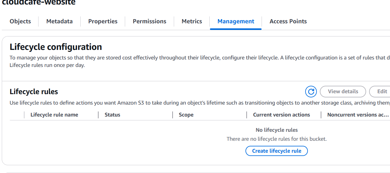 Lifecycle 