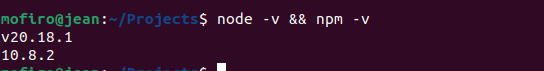 Version for Node and npm