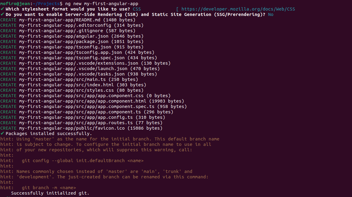 Generated files following the creation of an Angular project using the  raw `ng new command` endraw 