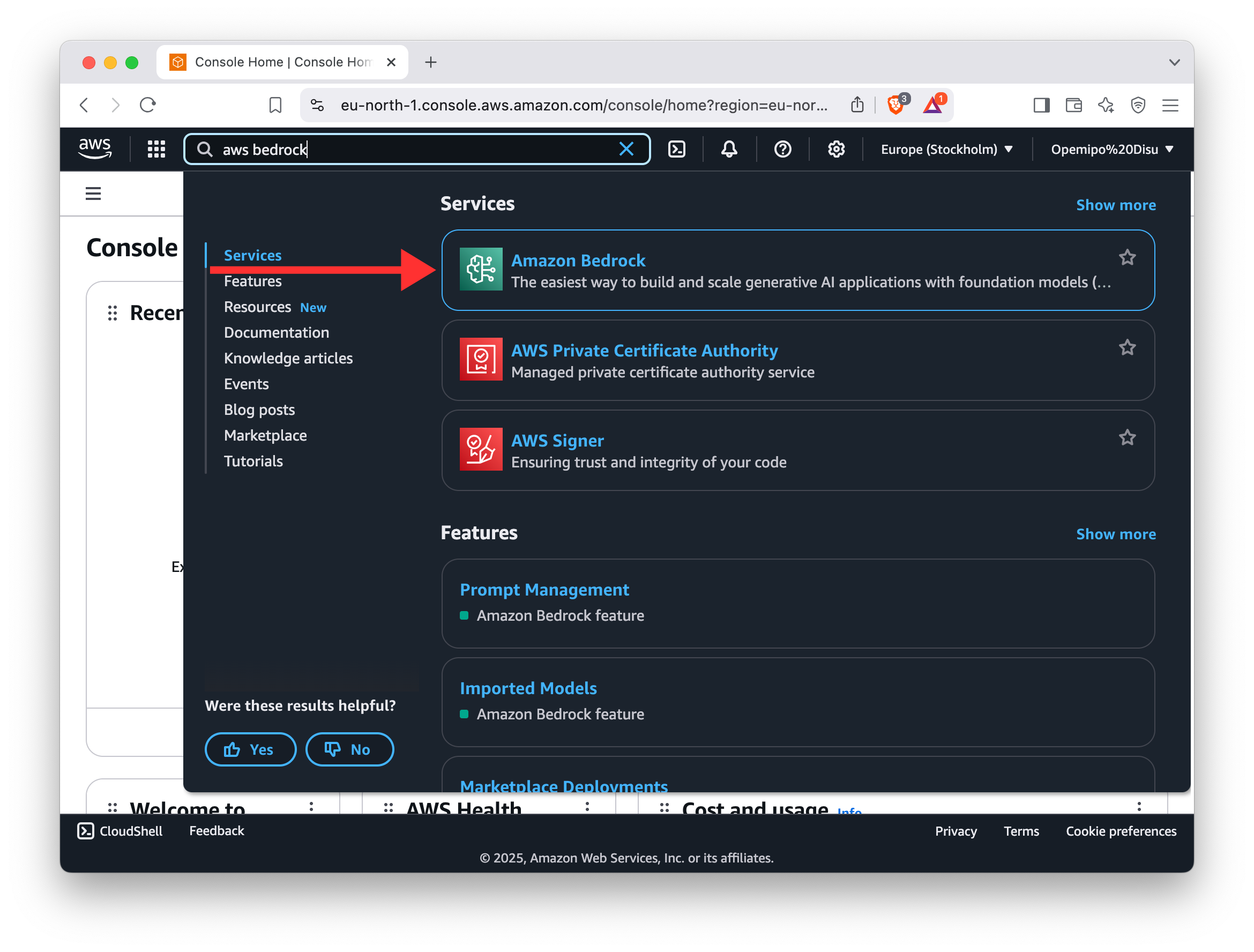 Searching AWS Bedrock from Console