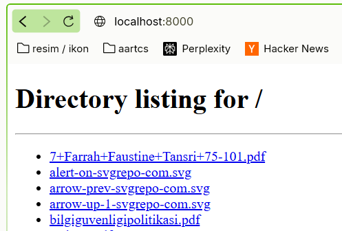 How to develop a web project with local files?