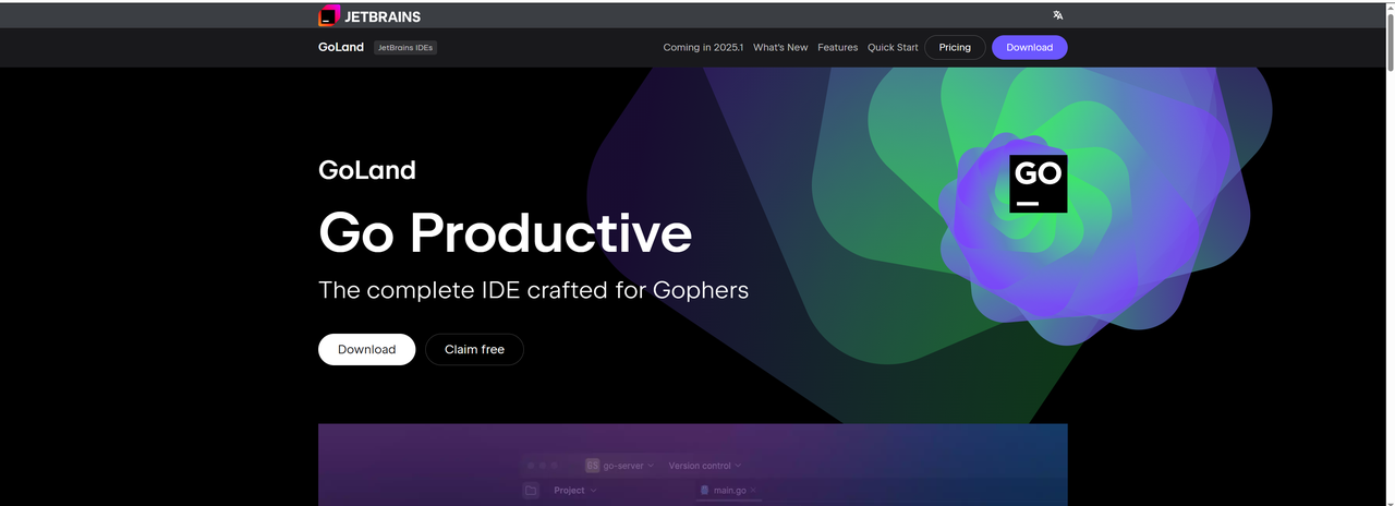 Golang IDE