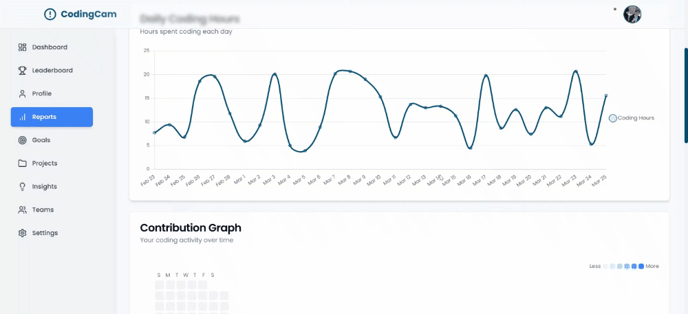 Detailed breakdowns of coding activity, filterable by date range (using  raw `DatePicker` endraw ), project ( raw `DropDownList` endraw ), and language.