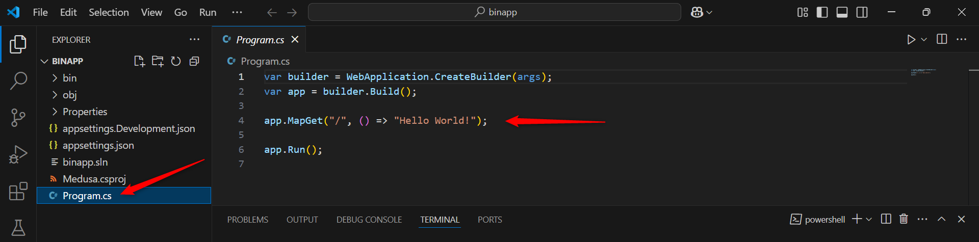 Program CS