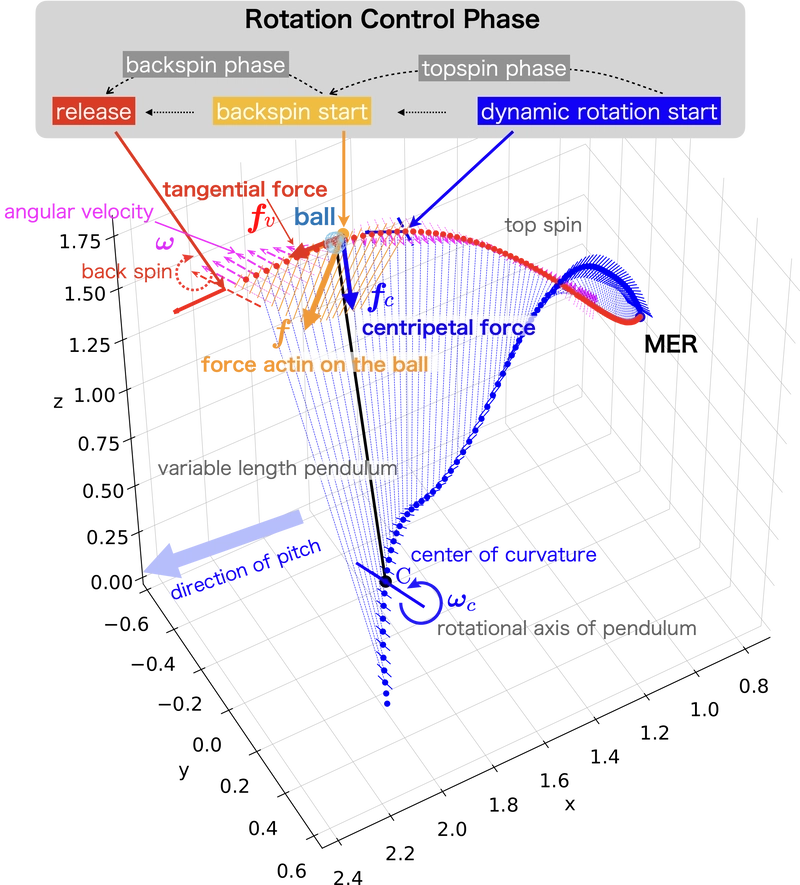 Biomechanics of pitching (1): an overview of ball dynamics during throwing