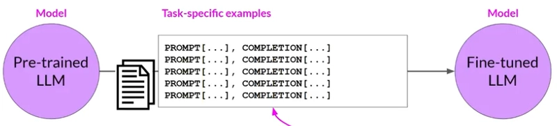 Notes from course: Generative AI with Large Language Models - Week 2