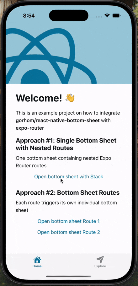 bottom sheet with stack gif