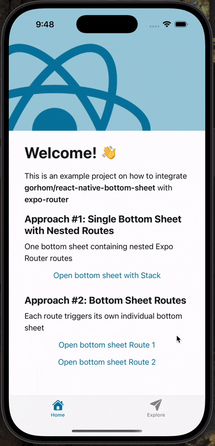 individual bottom sheet gif