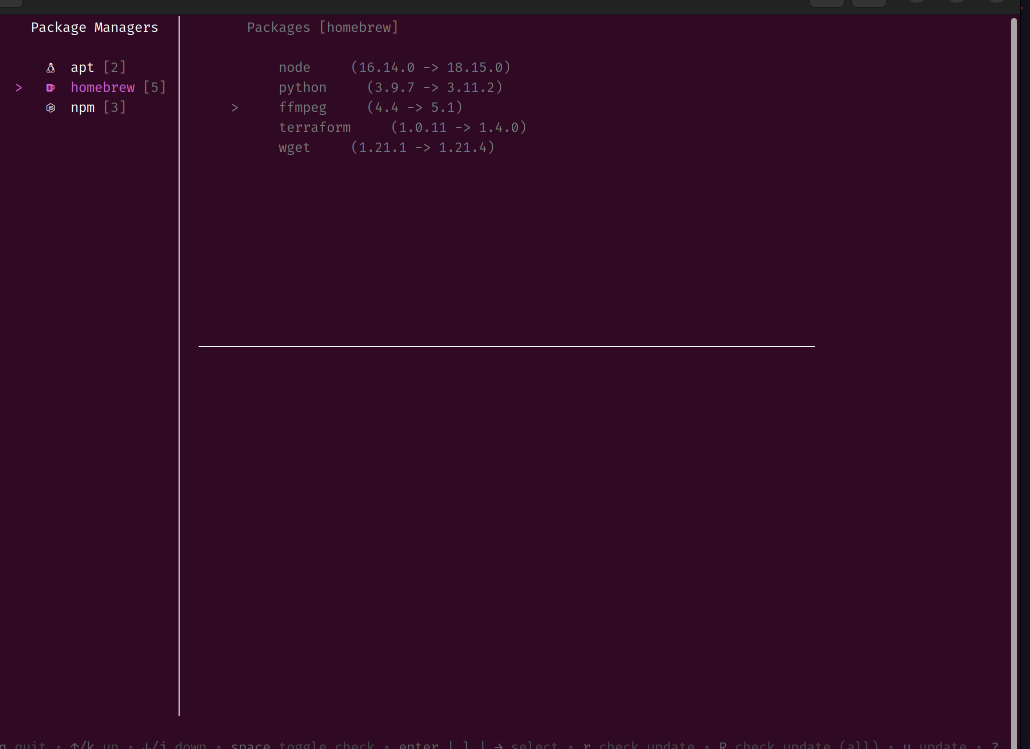 initial screen of lazypkg