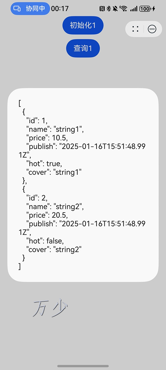 image-20250117001731385