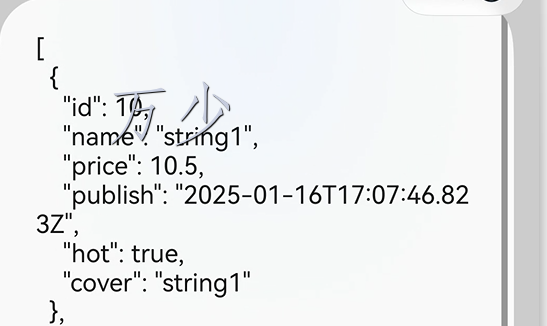 image-20250117201256407