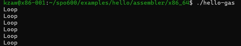 64-Bit Assembly Language - Lab 5