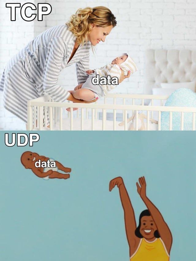 meme about TCP and UDP diffs