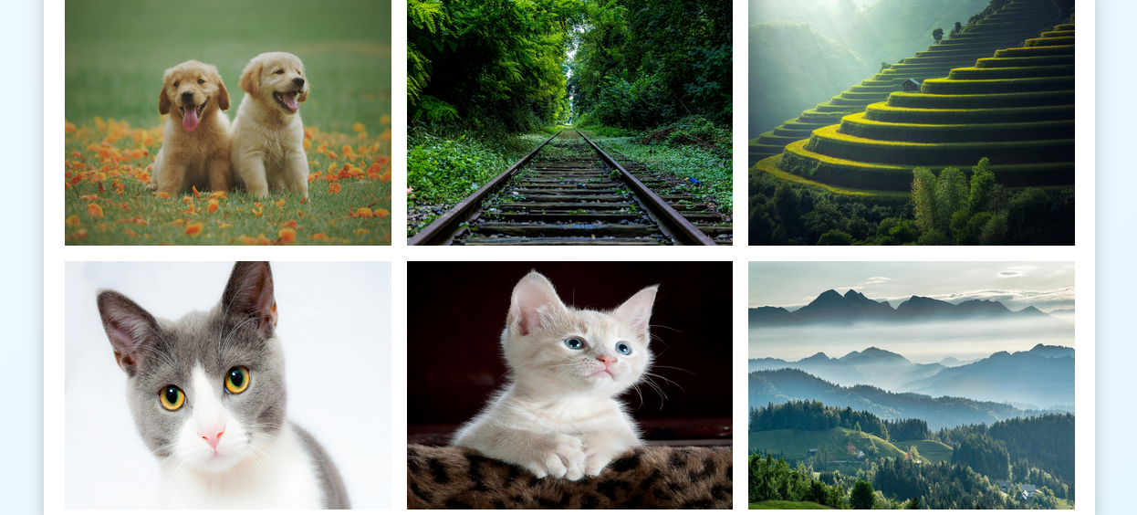 Gallery of images