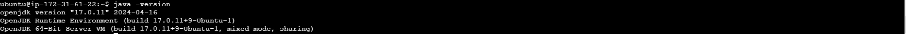 'Java Output'
