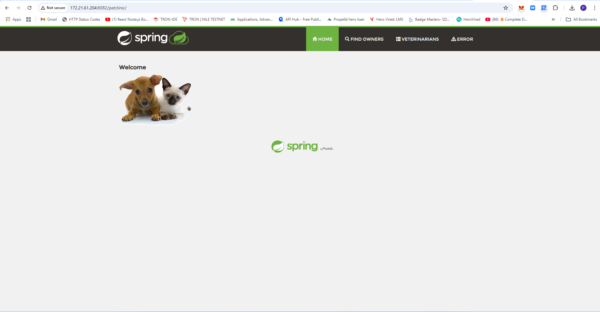 'Java Application Running On Docker'