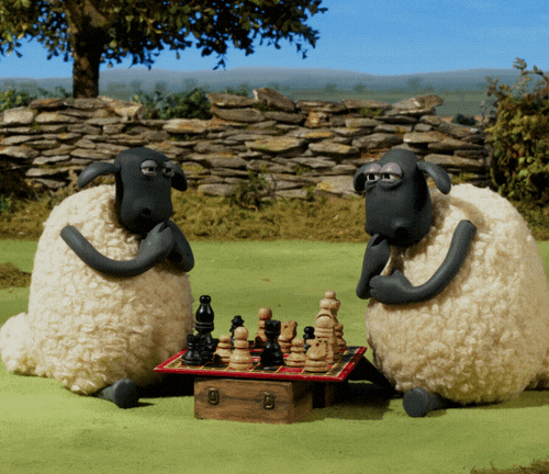 sheep playing chess