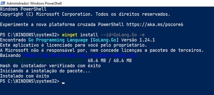 Série Go: Uma abordagem sobre a Linguagem de Programação Golang