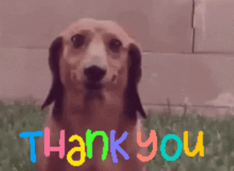 thank you dog