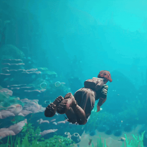 Dive In