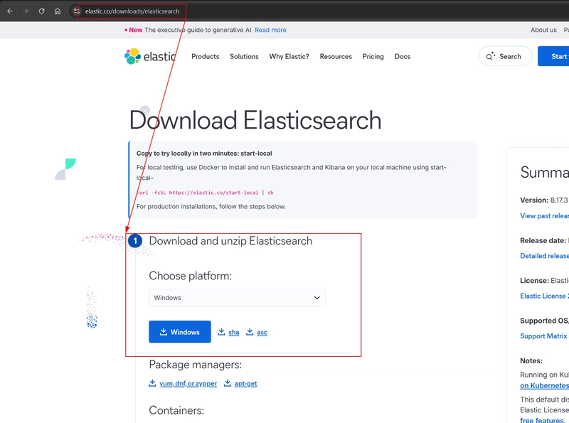 Elastic Search as Windows Service