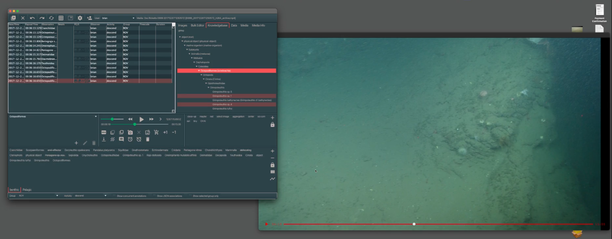 Annotation application with video player