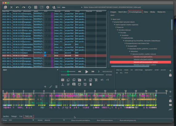 Annotation application with timeline view