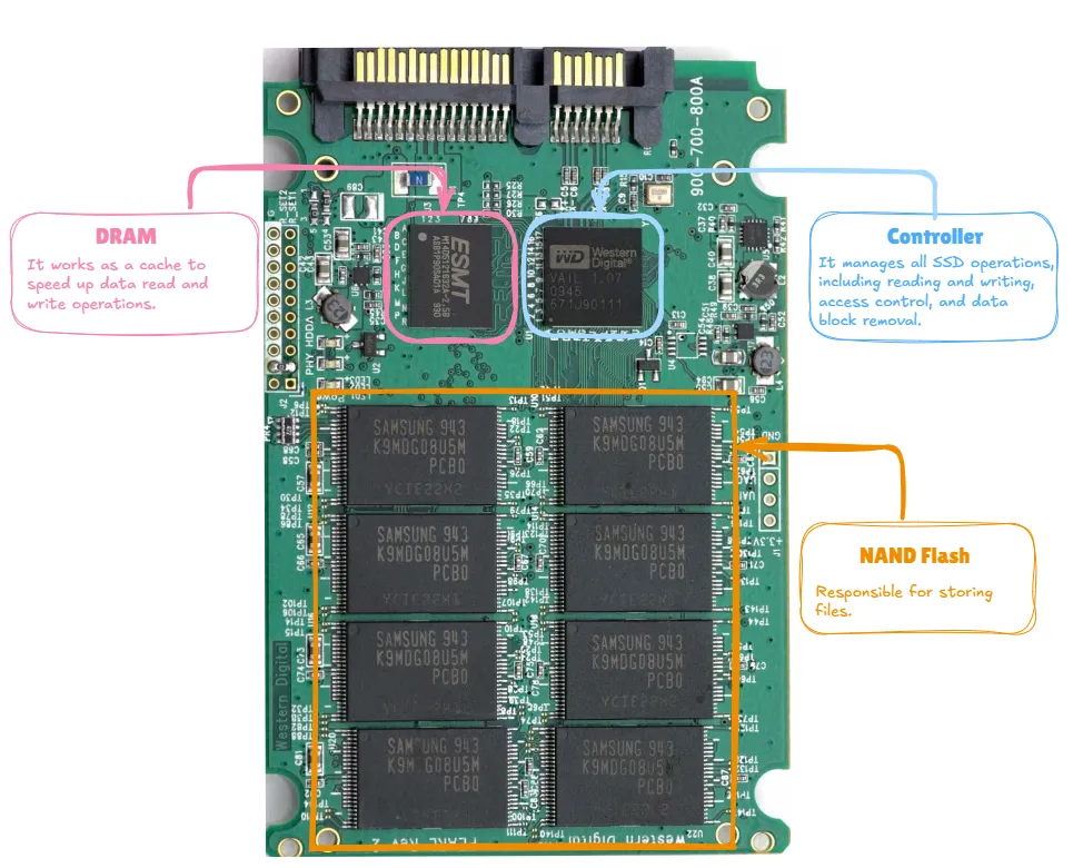 Image of an open SSD. The image shows where the DRAM, NAND memory and controller are located.