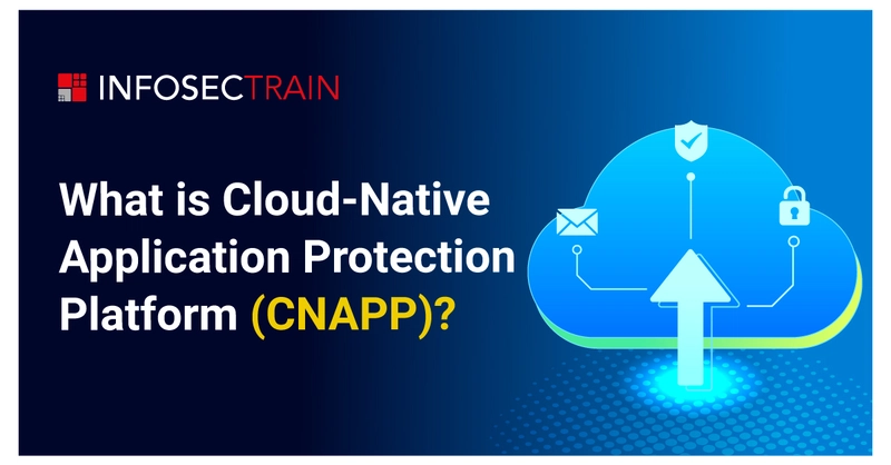 What is Cloud-Native Application Protection Platform (CNAPP)?