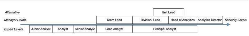 How to Move from Senior Analyst to Team Lead: A Step-by-Step Guide