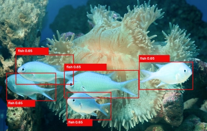 Explore how computer vision AI enhances underwater object detection & classification