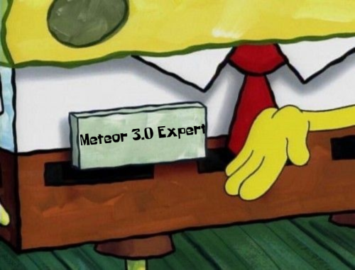 Your #1 Meteor expert