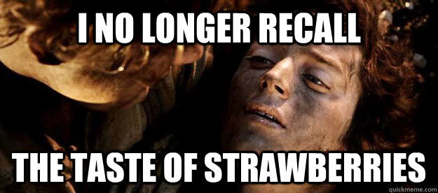 A picture of Frodo laying in Sam's lap on Mount Mordor captioned I no longer recall the taste of strawberries