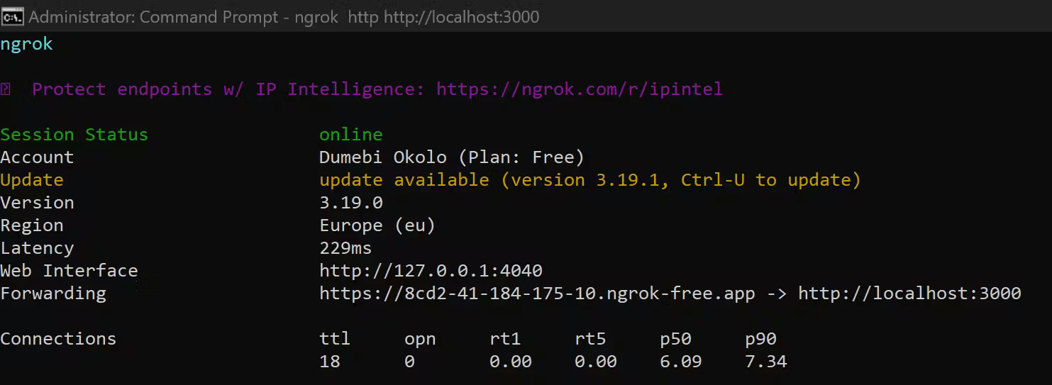 ngrok setup successfully